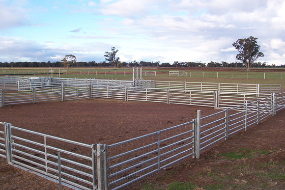 قیمت عمده فروشی 1.6 میلیون پانل گاو گالوانیزه پانل های حصار گوسفند اسب دام جوش داده شده برای مزرعه