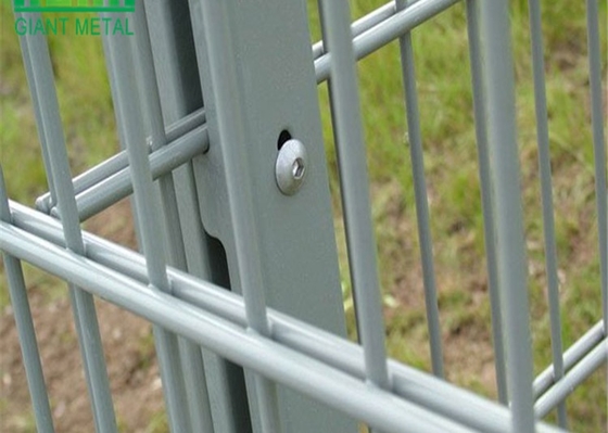50×200mm باغ امنیت دو سیم میش حصار / حصار گرما درمان شده