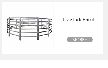 ماشین پایدار 47 اینچ فلزی مانع جمعیت مزمن استخر حصار 7