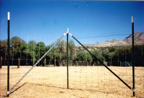 نقاشی با رنگ سبز روشن مزرعه با ارسالهای سفید بالای 0.95 پوند