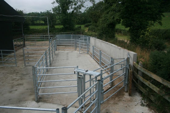 پانل های حصار گاو ISO 2.1 متر طول برای مزرعه دام
