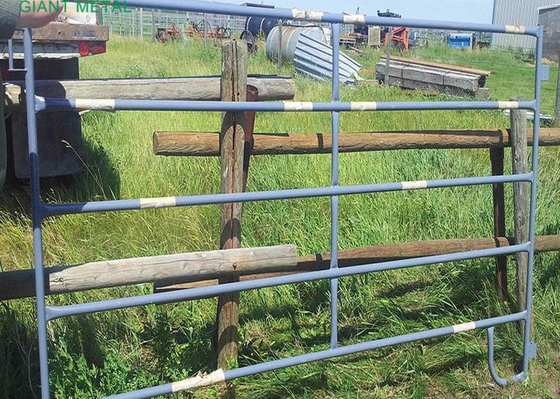 پانل های حصار دام سنگین به ارتفاع 1.6 متر دروازه های مزرعه گالوانیزه فلزی