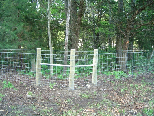 گوسفند / حیاط گاو 1.0 متر فلزی حصار دام پانل گالوانیزه